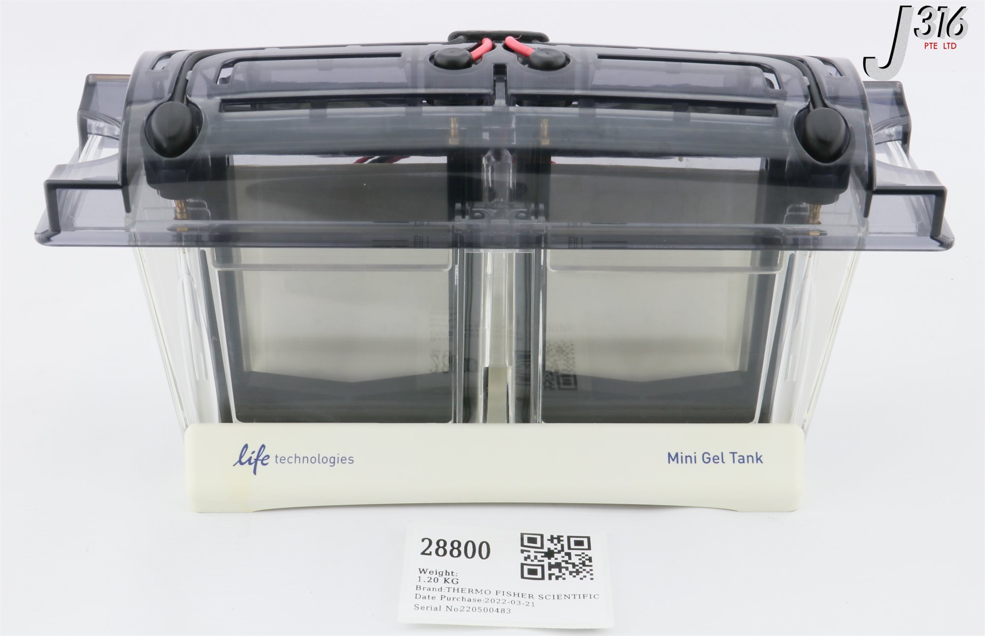 Thermo Invitrogen Mini Gel Tank A25977 Elettroforesi Cell Usato Garanzia